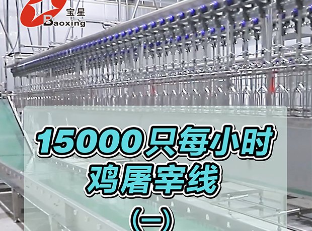 全自动家禽屠宰线，时宰 15000 羽，尺度化流程、高效干净、安全可控，一站式解决规；涝仔枰