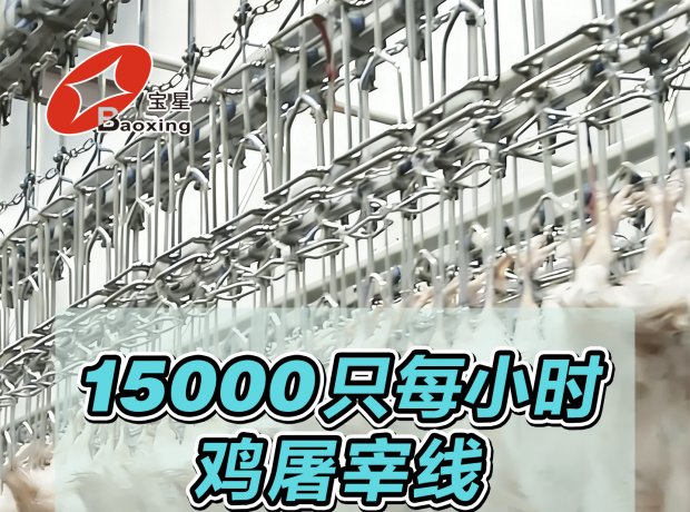 全自动家禽屠宰线，时宰 15000 羽，尺度化流程、高效干净、安全可控，一站式解决规；涝仔枰。
